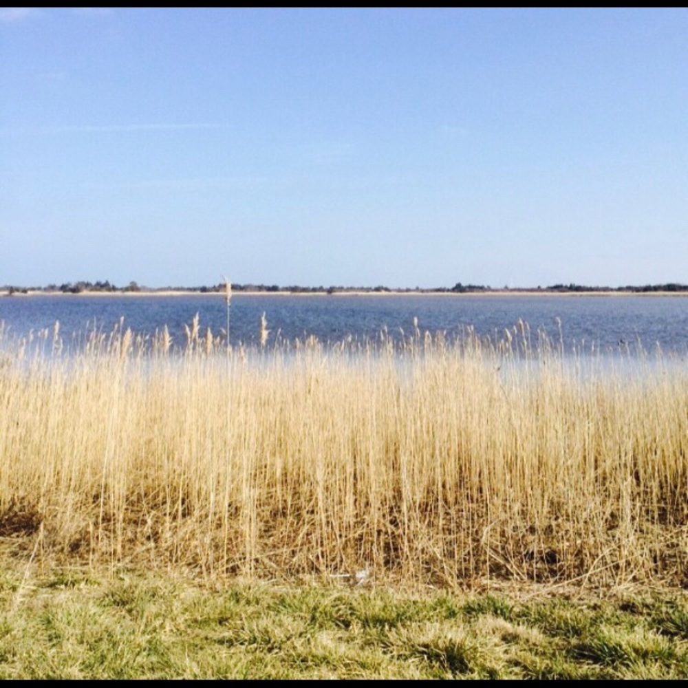 Meet your Posher, Positive and Posh!